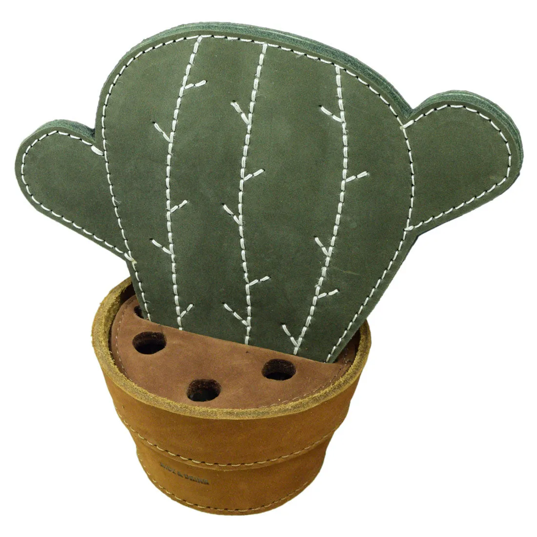 Cactus Coaster W/Pen Holder