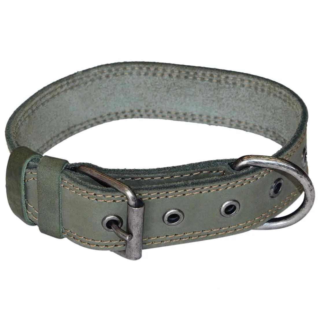 Dog Collar Thick for Small Sized Dogs