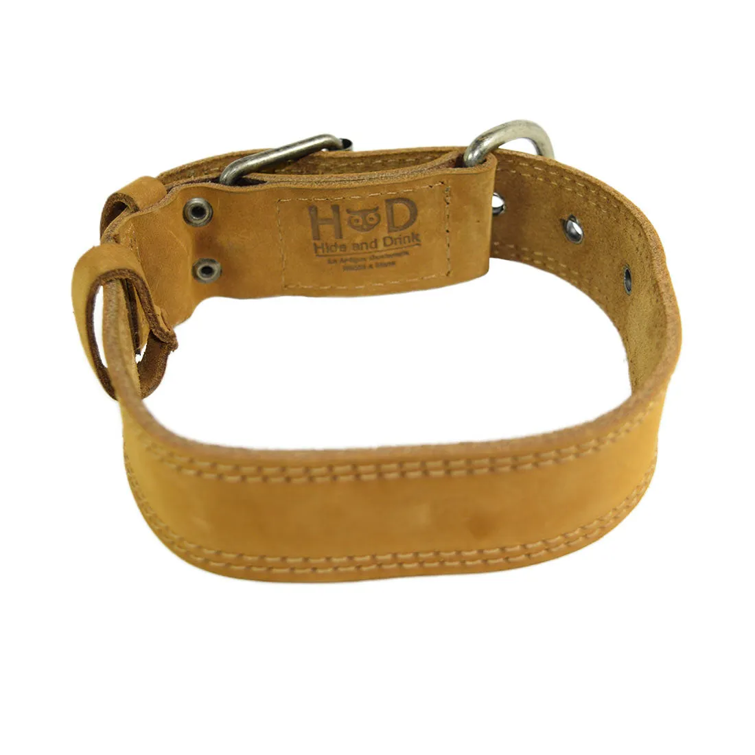 Dog Collar Thick for Small Sized Dogs