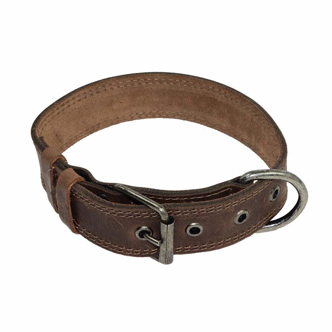 Dog Collar Thick for Small Sized Dogs