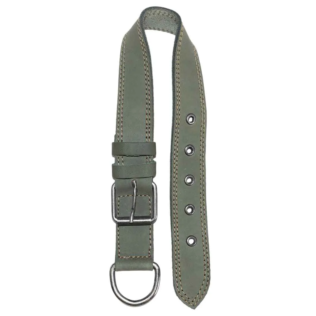 Dog Collar Thick for Small Sized Dogs