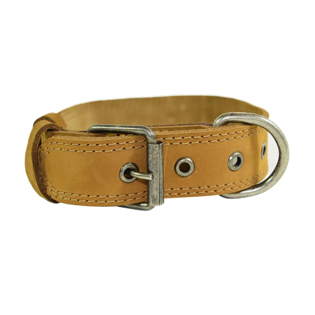 Dog Collar Thick for Small Sized Dogs