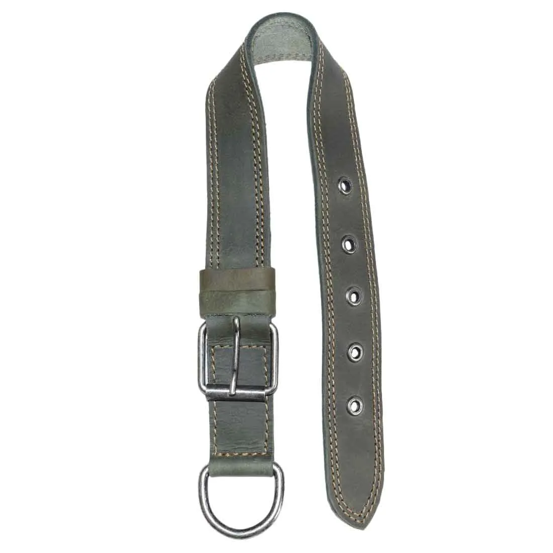 Dog Collar Thick for Small Sized Dogs