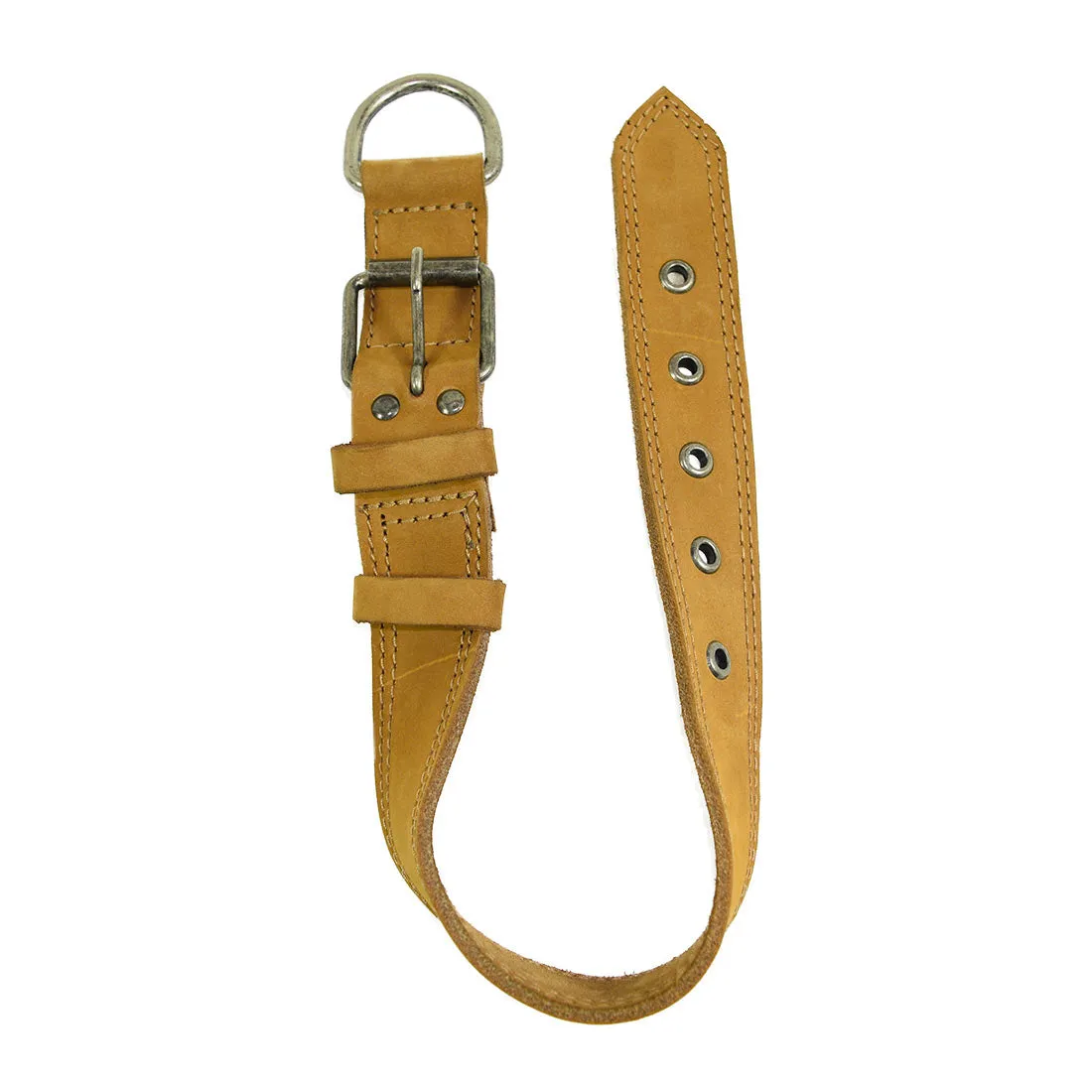 Dog Collar Thick for Small Sized Dogs