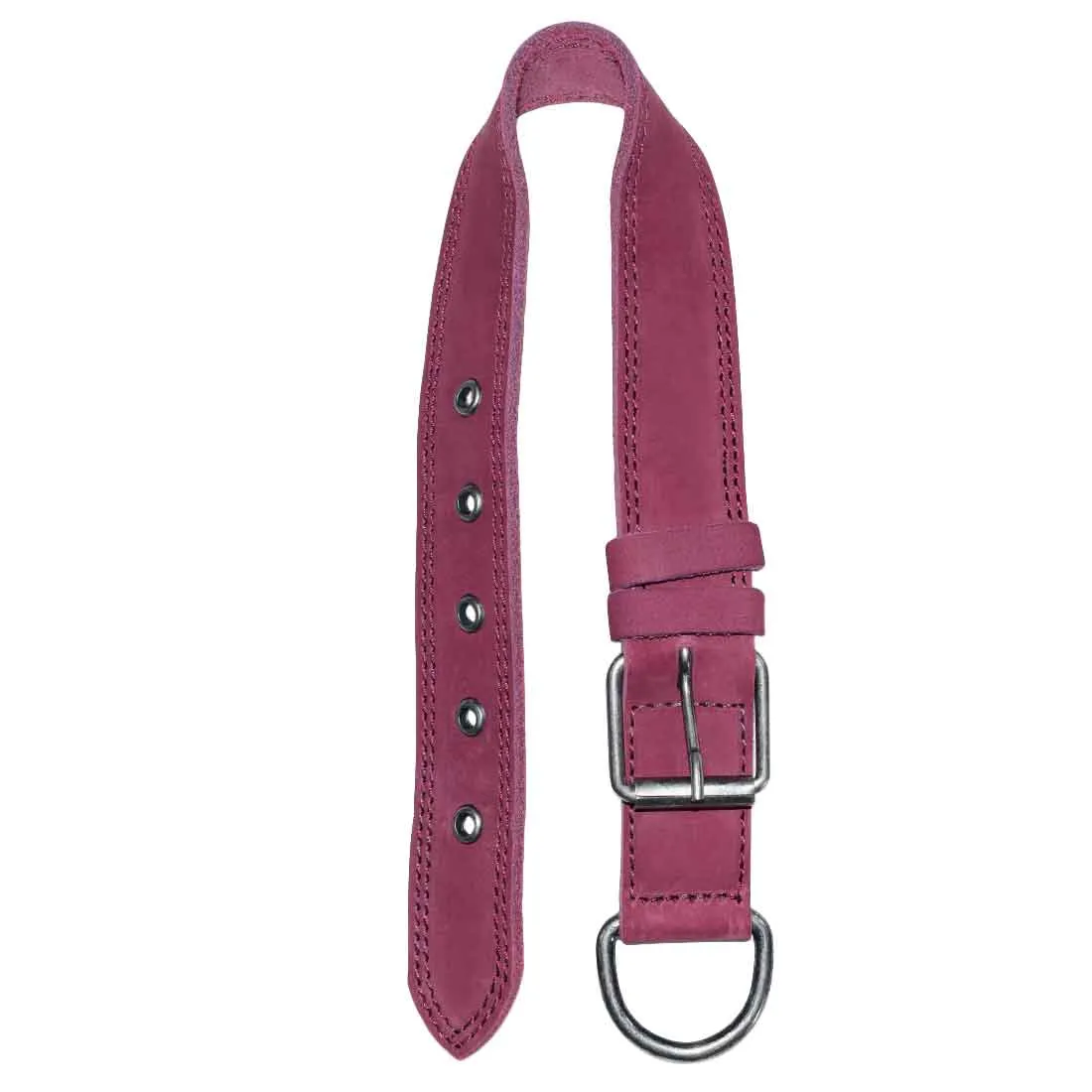 Dog Collar Thick for Small Sized Dogs