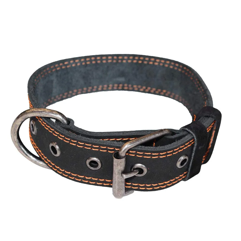 Dog Collar Thick for Small Sized Dogs