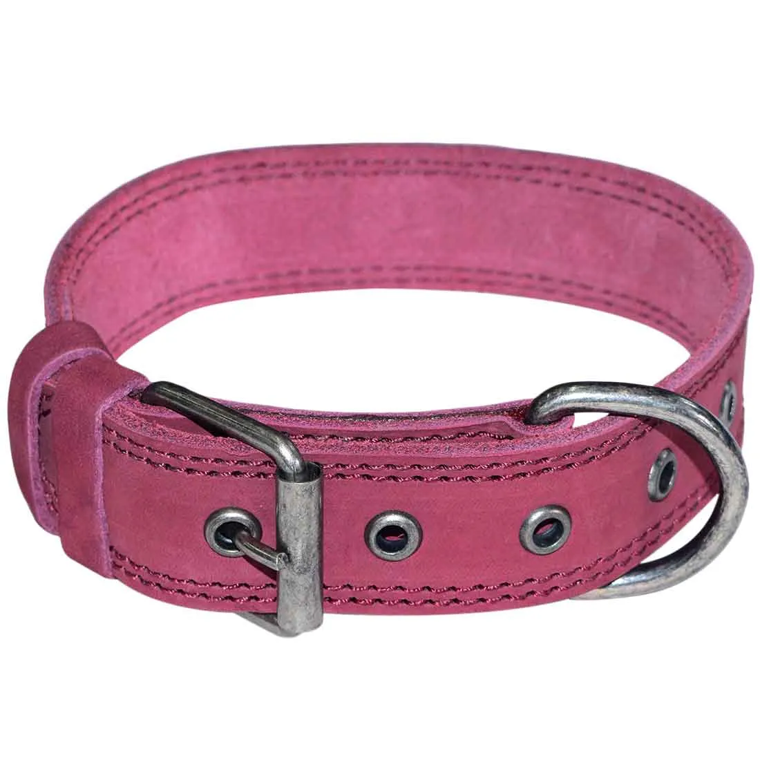 Dog Collar Thick for Small Sized Dogs