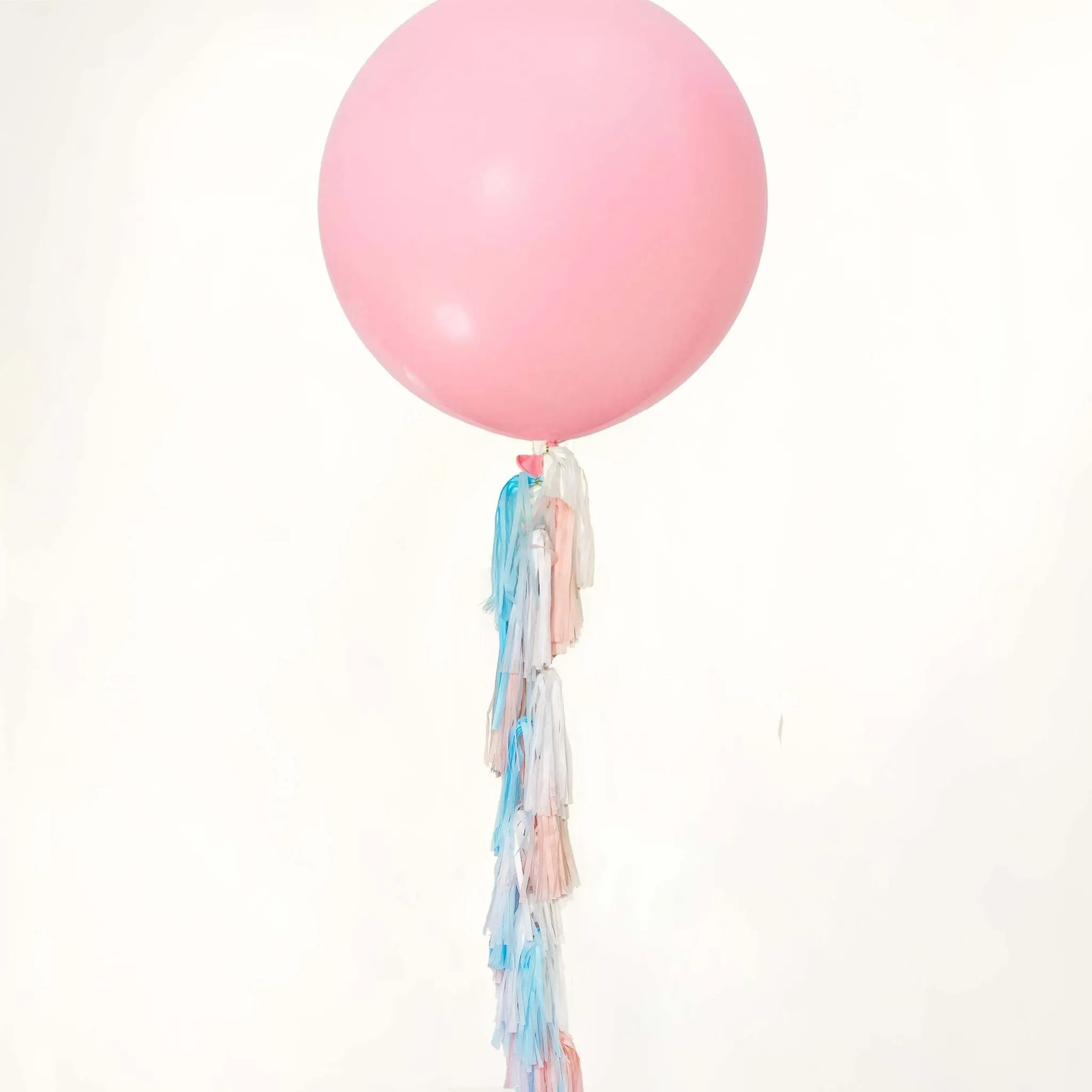 Gender Reveal Paper Tassel Tail - Tassel DIY Garland Kit