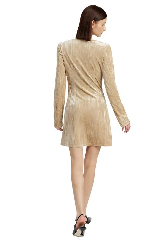 LONG SLEEVE MINI SUEDE DRESS